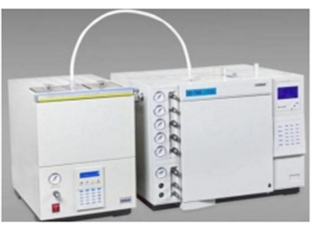 Chromatographic analyzer