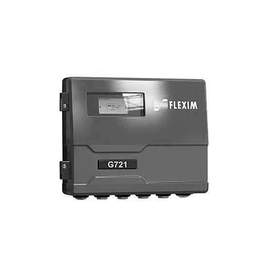 flexim-g721-1000x1000.jpg